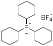 
												58656-04-5 |
												TRICYCLOHEXYLPHOSPHONIUM TETRAFLUOROBORATE