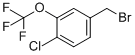 
												886500-93-2 |
												4-chloro-3-trifluoromethoxybenzyl bromide